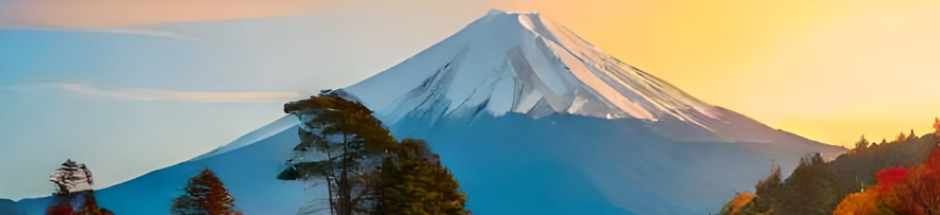 Japan sustainability reporting GRI Standards chart