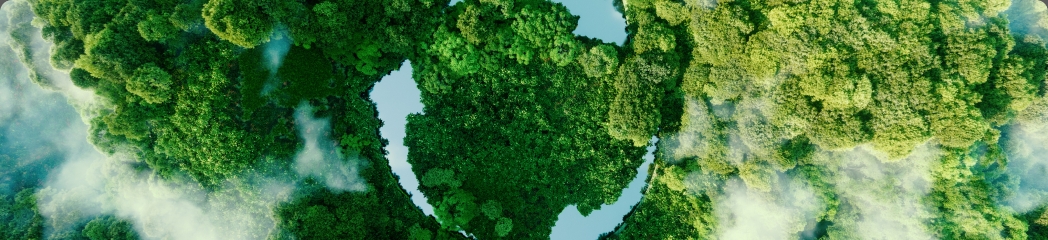 European Sustainability Reporting Standards CSRD 2024 guide