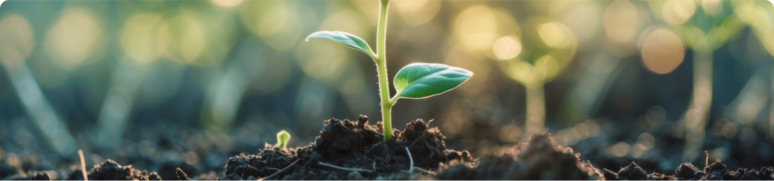 Europe Industrial Decarbonisation Act 2025 clean industry transition