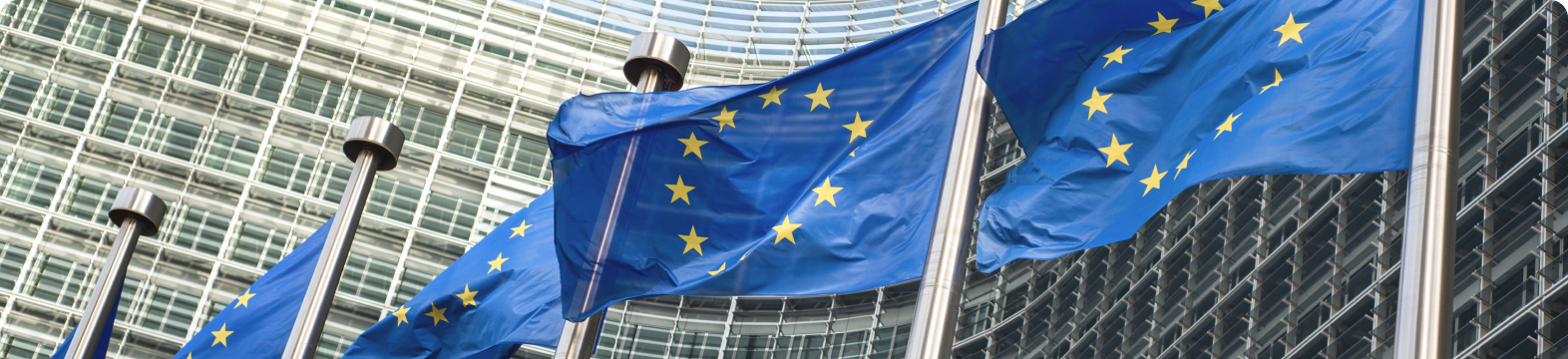 Plastic waste and toys affected by EU PBDE regulations 2025
