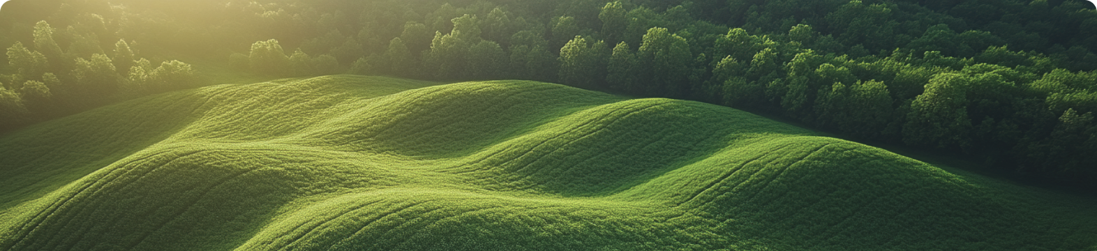 Green bond and sustainability‑linked bond reporting framework in the EU